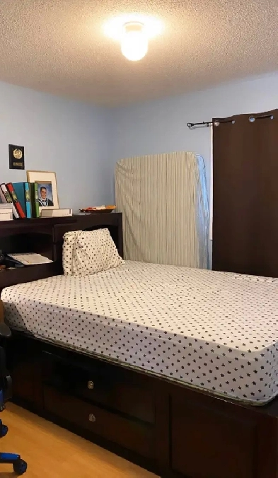 Room for rent in sharing near Sheridan college Image# 1