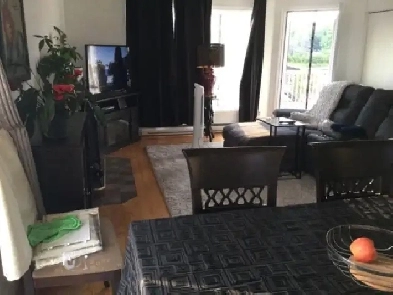 Appartement 5 1/2 à louer Image# 5