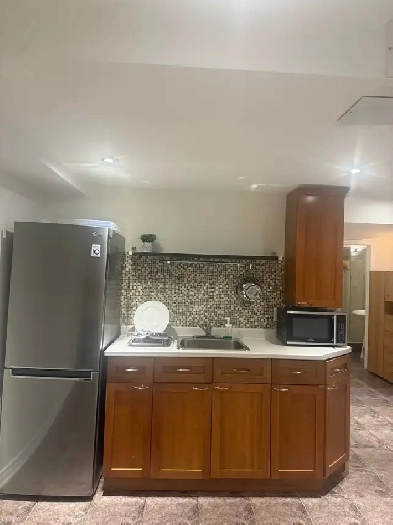 basment apartment bachelor Image# 3