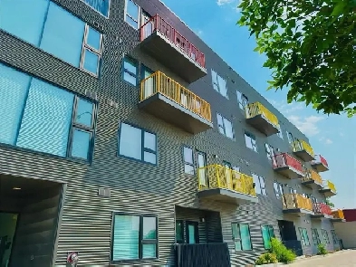 1 bedroom insuite laundry and parking Image# 8