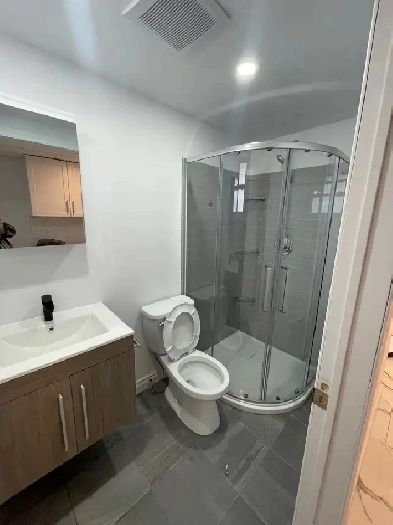 À LOUER : 5 1/2 RÉNOVÉ MERCIER / HOCHELAGA MAISONEUVE Image# 3