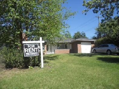 One bed room for rent close to the University of Calgary Image# 4