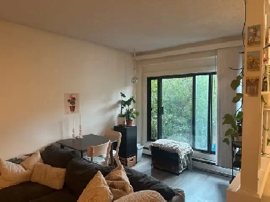 Cozy 1 Bedroom Apartment in Sunalta Image# 8