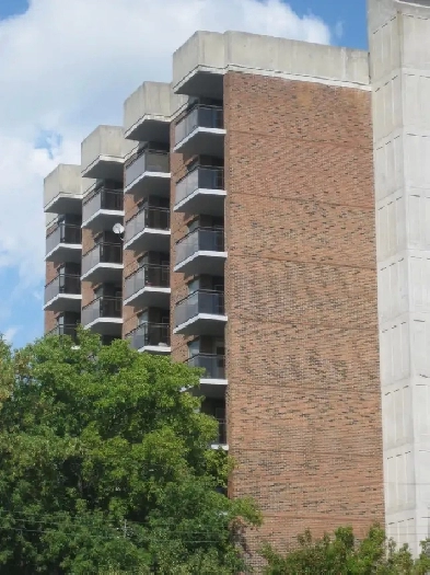 SEPTEMBER 1ST BILLINGS BRIDGE 1 BEDROOM Image# 2
