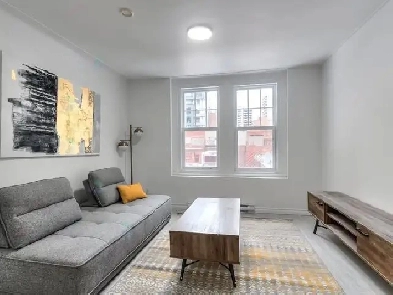 3 1/2 apartment closed to Guy Concordia Image# 6