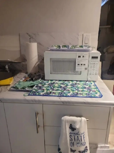 1 bedroom basement apartment near bramelea rd and queen. Image# 2