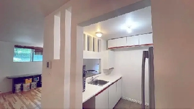 4.5 LARGE CONDO ALEXANDRE DESEVE, CENTER OF VILLAGE (VACANT NOW) Image# 8