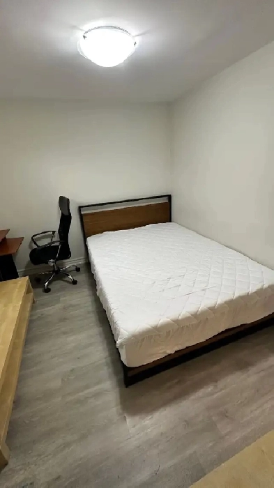Basement Room for Rent in Scarborough Image# 6