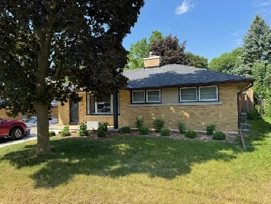 3 Bedroom House for Rent Image# 3