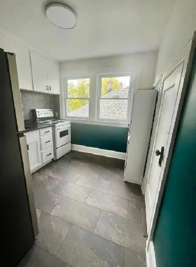 FOR LEASE: 2 Bedroom DT Apartment Image# 8