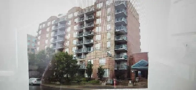 Apartment for Rent Image# 4