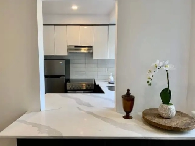 3420 Decelles - Beautiful 2-bedroom apartment Image# 10