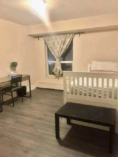 Looking for a Female Roommate to Rent a Furnished Master Bedroom Image# 4