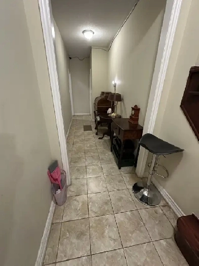 Elegant Room front York University With Private Washroom Rent Image# 4