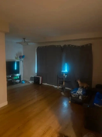 Apartment for Sublet Image# 1