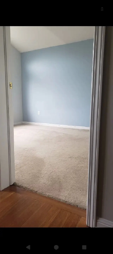 Lots of day light and spacious Room available for rent Image# 3