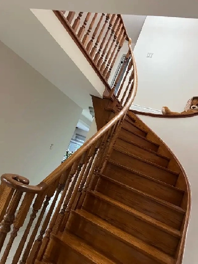 ROOM FOR RENT ON UPPER LEVEL Image# 2