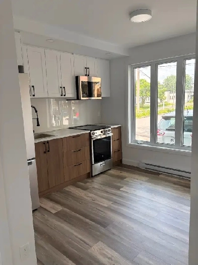 Joli Loft entièrement rénové Image# 2