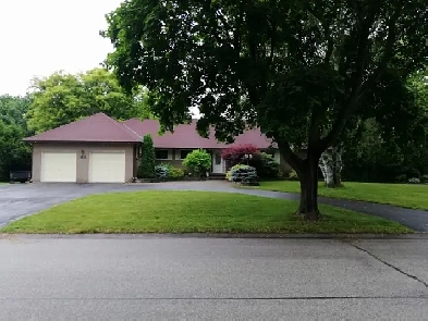 1 clean room with wet bar&fridge,Aug 1, Sharon/East Gwillimbury Image# 1