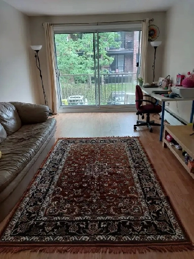Spacious 3 1/2 Furnished Apartment for Rent (Sublease) Image# 1