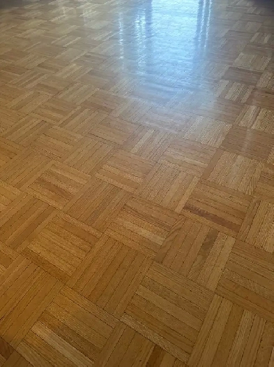 Looking For Male Roommate Image# 1