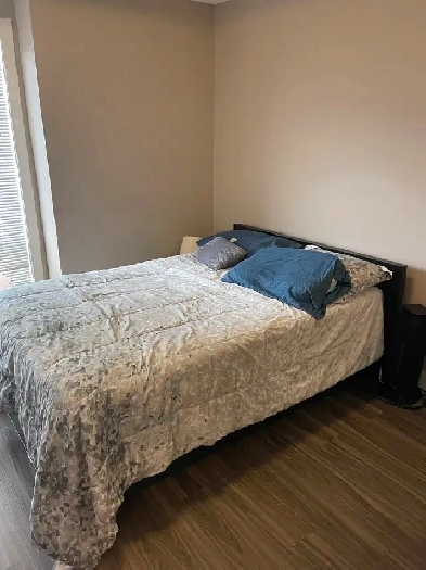 Private room and bath (ensuite) available Image# 3