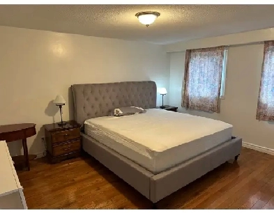 master bedroom and bedroom rooms Image# 8