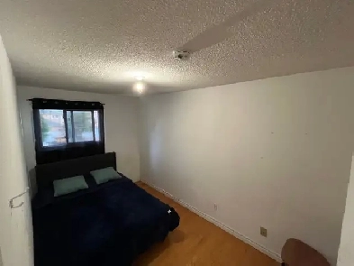 Room for Rent Image# 3