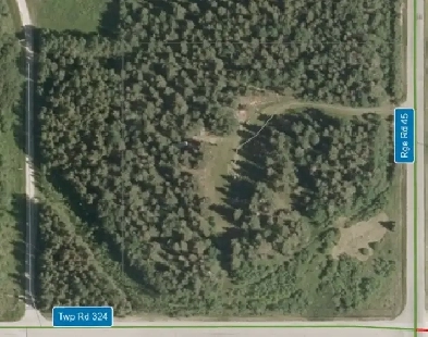 A Quiet Forest Retreat Image# 7
