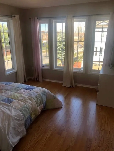 LOVELY ROOM FOR RENT Image# 9