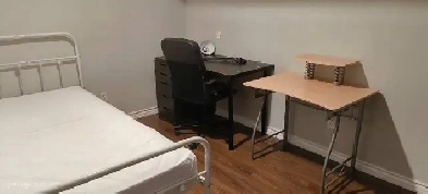 Basement room in York university Image# 1