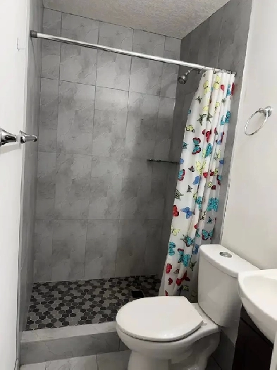 Basement for rent Image# 3