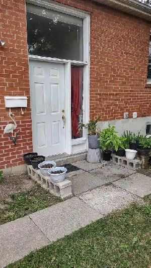 2 Bedroom Basement Apt for Rent In  Richmond Hill Image# 1