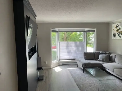 3-Bedroom Apartment for Rent – Gatineau – 1200 sq.ft – $22 Image# 7