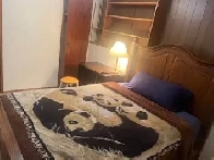 All Furnished Room Image# 1