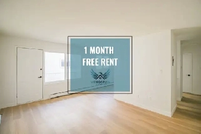 1 Bedroom Owl at Gilliane - 10965 84th - Gilliane - 10965 84th Image# 14