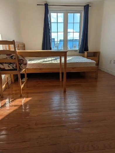 3rd Flr Large Room Private Bath Balcony Parking @York University Image# 7