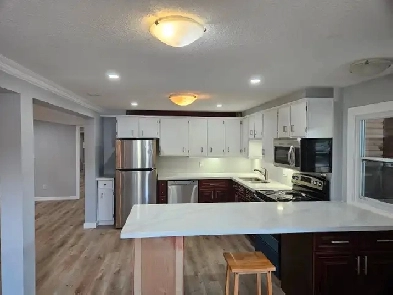 Spacious 2 bedroom walkout on great street Image# 1