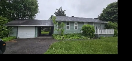 3 1 Single house for rent , steps from Algonquin and Baseline Image# 1