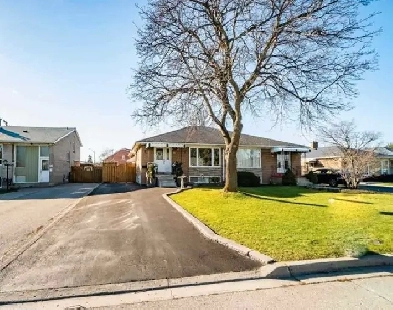 All-Inclusive 3 Bedrooms 1 Bath - Brampton Image# 1