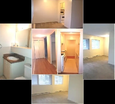 2 Bed Apartment Image# 1