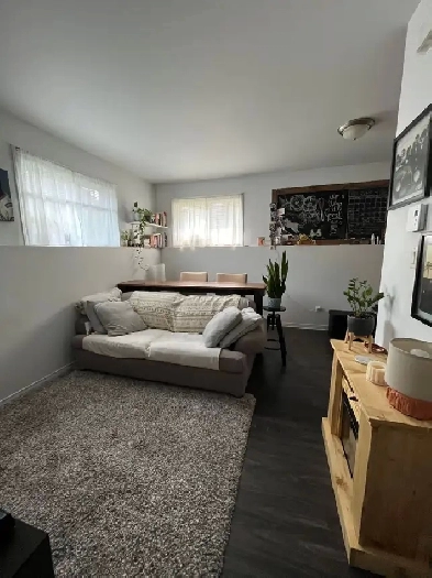 APPARTEMENT DE 1 CHAMBRE A LOUER / 1 BEDROOM APPT FOR RENT Image# 1