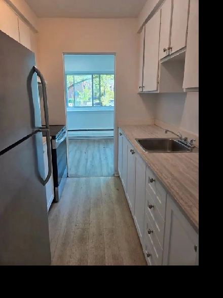 Renovated 4.5 available for rent in Ville Saint-Laurent Image# 3