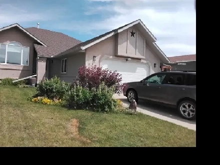 Thinking of moving to Rimbey? Image# 5
