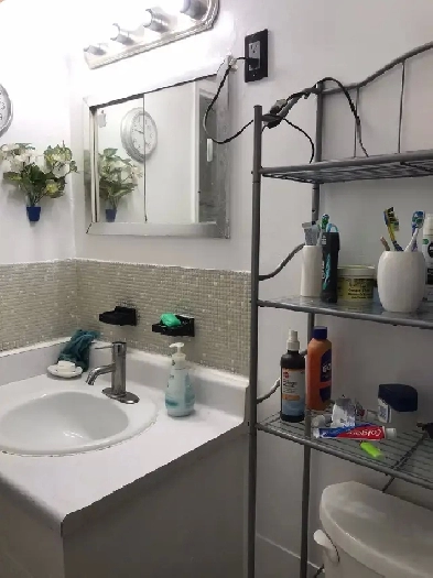 shared room 550$ Image# 1