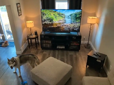 2 ROOMS FOR RENT Image# 1