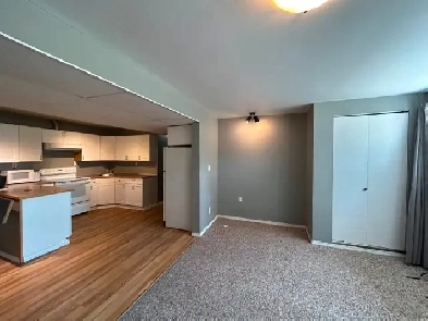 2bedroom 1bathroom suite in Mt Dufferin Area Image# 7