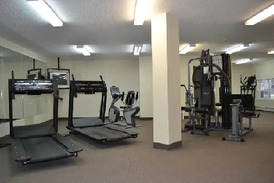 Beautiful 2 Bedroom Apartment in Holland Gardens Image# 2