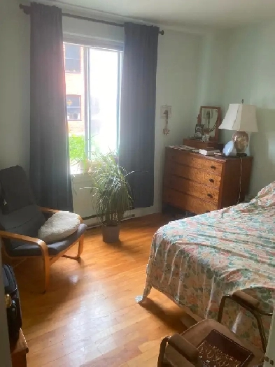 Short term sublet/souslocation 3.5 hochelaga. Aug 10-Sept 7 Image# 1