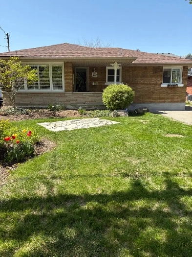 One Bedroom Basement Apartment Image# 1